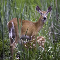 Five Rivers Environmental Center - Breakfast in the marsh!