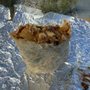 Bonfire Burritos