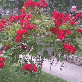 Kettell's Greenhouse - Nurseries & Gardening Near Me - Falls, Pennsylvania Kettell's Greenhouse - Nurseries & Gardening Near Me - Falls, Pennsylvania