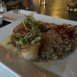 Pan Seared Scallops