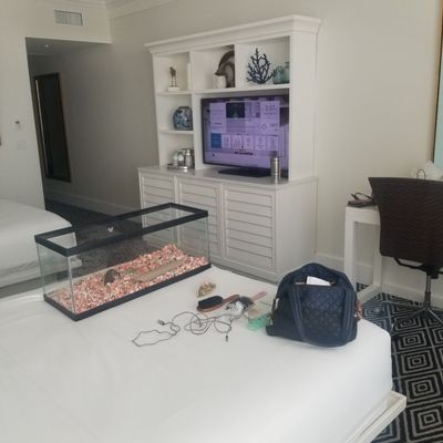 Isla Bella Beach Resort & Spa by null