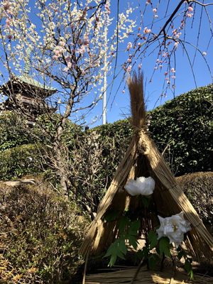 Ueno Toshogu Shrine by null