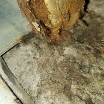 Radar Restoration - Damage Restoration Near Me - Chandler, Arizona
