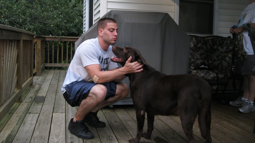 Tailored Home Care - pet boarding facility in Burlington, VT