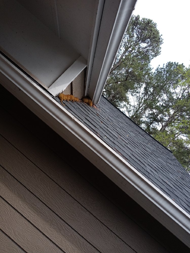 Slide of Findlay Roofing