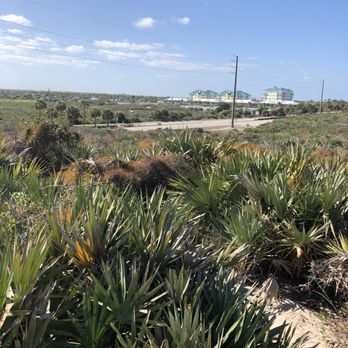 Juno Dunes Natural Area - Hiking Near Me - Juno Beach, Florida