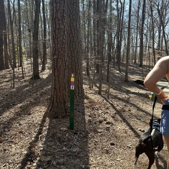 Cedar Falls Park - Trails are color coded - Parks Near Me - Chapel Hill, North Carolina