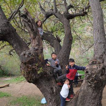 Sycamore Canyon Campground - undefined - Parks Near Me - Malibu, California Sycamore Canyon Campground - undefined - Parks Near Me - Malibu, California