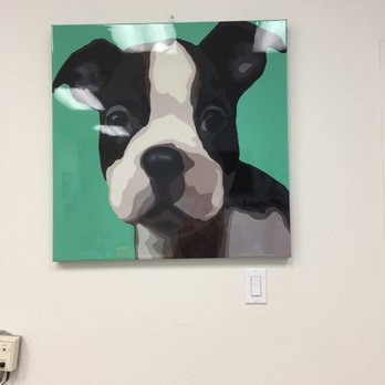 Hemopet - Loving caring and neat artwork... - Pet Adoption Near Me - Garden Grove, California Hemopet - Loving caring and neat artwork... - Pet Adoption Near Me - Garden Grove, California