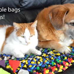 Sun Sugar Farms - What we do with unwanted, unrecyclable (like most are) reusable bags: pet rugs
