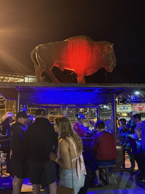 Buffalo Chip Saloon and Steakhouse by null