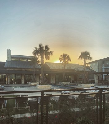 The Viridian by null