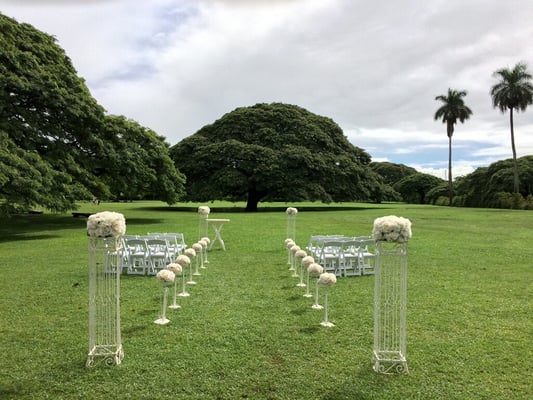 Moanalua Gardens by null
