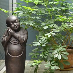 Integrative Therapeutic Massage