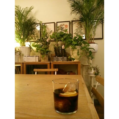 Café Botánico by null