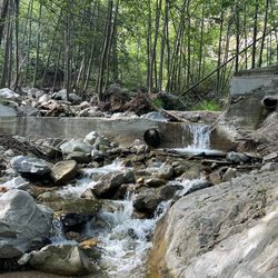 Dawn Mine Hike