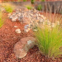Brent Landscaping - backyard landscaping