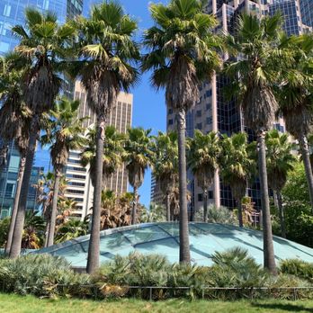 Salesforce Park - 7/1/23 - Parks Near Me - San Francisco, California