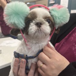 Animal Care Center of Pasco County