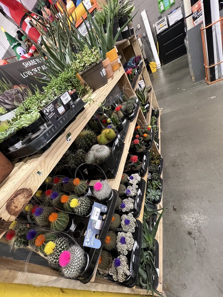 THE HOME DEPOT Updated October 2024 40 Reviews 780 Route 46 W