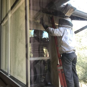 AA-Beekeeper Live Bee Removal - Pest Control Near Me AA-Beekeeper Live Bee Removal - Pest Control Near Me
