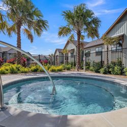 Canter Luxury Apartment Homes - A hot tub with palm trees in the background