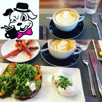 Barking Mad Cafe - Coffee & Tea Near Me - Gaithersburg, Maryland
