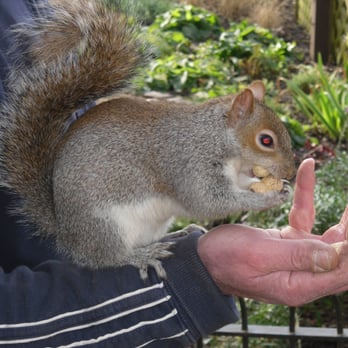 St James's Park - Parks Near Me St James's Park - Parks Near Me
