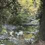 Wheeler Gorge Campground