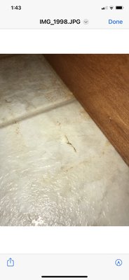 Dryman Restoration Logo