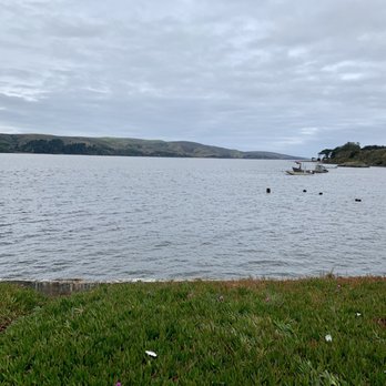 Hog Island Oyster - View - Seafood Near Me - Marshall, California