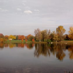 Rebstockpark