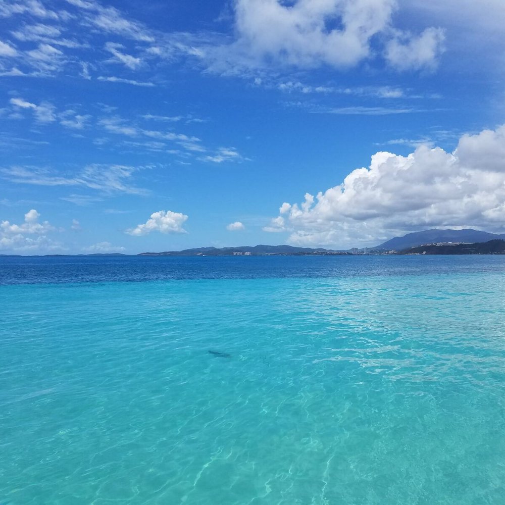Castillo Tours - Tours Near Me - San Juan, Puerto Rico