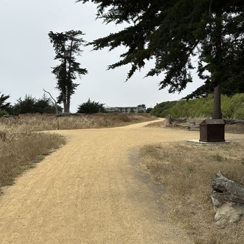 Lighthouse Field State Beach - Parks Near Me - Santa Cruz, California Lighthouse Field State Beach - Parks Near Me - Santa Cruz, California