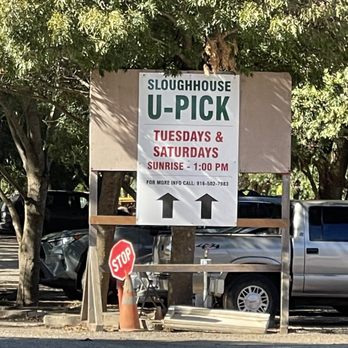 Davis Ranch, LLC - Fruits & Veggies Near Me - Sloughhouse, California Davis Ranch, LLC - Fruits & Veggies Near Me - Sloughhouse, California
