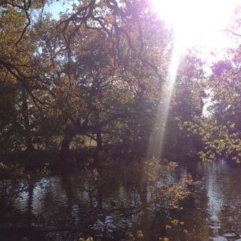 Audubon Park - Sunshine. - Parks Near Me - New Orleans, Louisiana Audubon Park - Sunshine. - Parks Near Me - New Orleans, Louisiana
