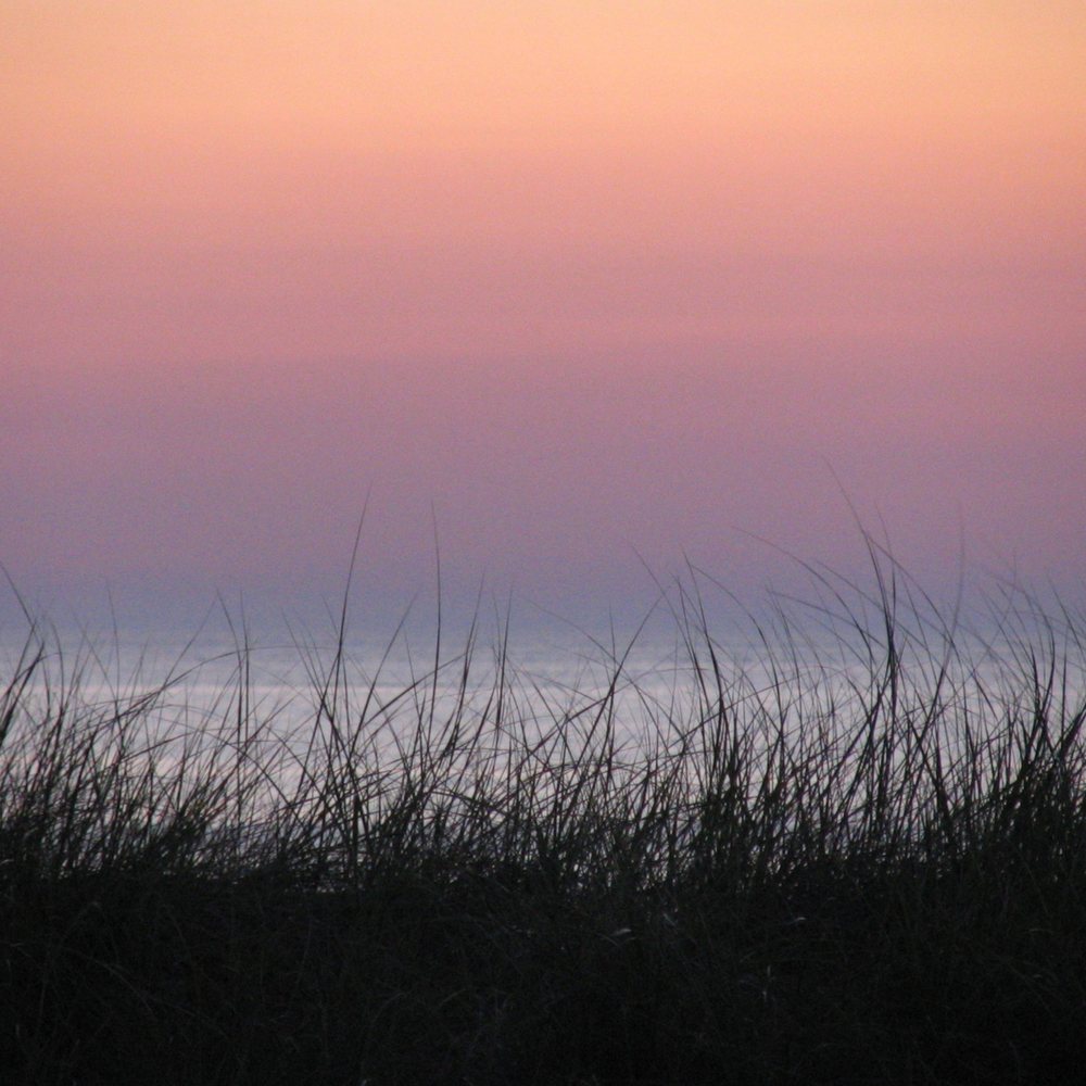Oval Beach - lovely dusk colors through the grass on the dune, in the parking area - Beaches Near Me - Saugatuck, Michigan