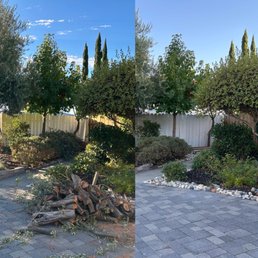 Before and after yard cleanup and haul away.