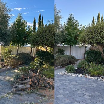 Tropical Landscape - Before and after yard cleanup and haul away. - Landscaping Near Me