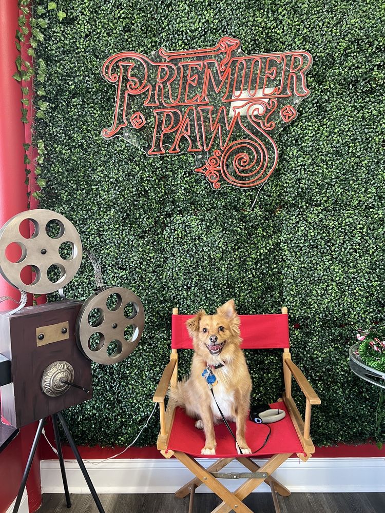 PREMIER PAWS Updated October 2024 24 Photos 3040 S Church St