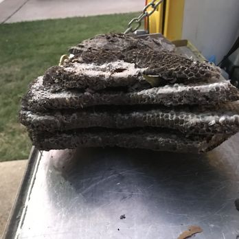 Bug Patrol Pest Service - Large yellow jacket nest removed from residential garage - Pest Control Near Me Bug Patrol Pest Service - Large yellow jacket nest removed from residential garage - Pest Control Near Me