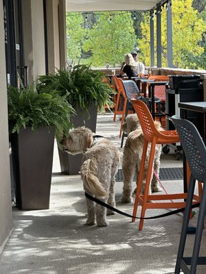 Evergreen Bread & Cocktail Lounge by null