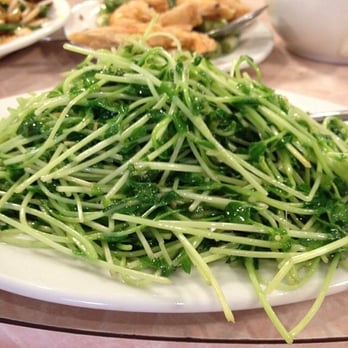 Tan Kimsu - Young pea sprout - Seafood Near Me - Westminster, California Tan Kimsu - Young pea sprout - Seafood Near Me - Westminster, California