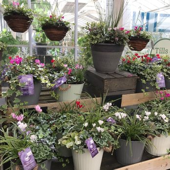 Ashtead Park Garden Centre - Nurseries & Gardening Near Me - Leatherhead, SRY Ashtead Park Garden Centre - Nurseries & Gardening Near Me - Leatherhead, SRY