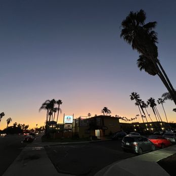 Caribbean Pleasure - palm trees in a parking lot - Caribbean Near Me - San Diego, California Caribbean Pleasure - palm trees in a parking lot - Caribbean Near Me - San Diego, California