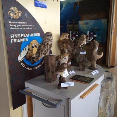 Museum of Natural History by null
