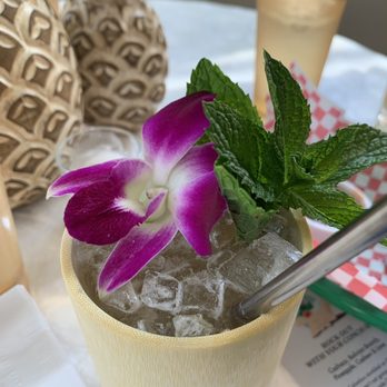 Jungle - Tiki Bars Near Me - Boulder, Colorado