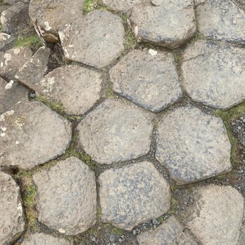 Wild Rover Tours - Tours Near Me - Dublin, D Wild Rover Tours - Tours Near Me - Dublin, D