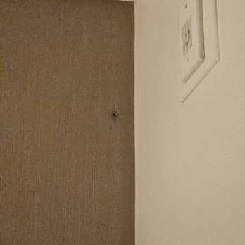 Hyatt Regency - Large spider by the bed - Hotels Near Me - Newport Beach, California Hyatt Regency - Large spider by the bed - Hotels Near Me - Newport Beach, California