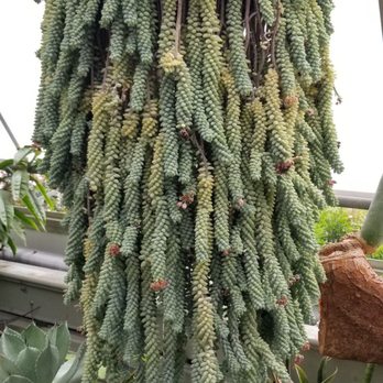 Centennial Park Conservatory - Parks Near Me - Toronto, Ontario